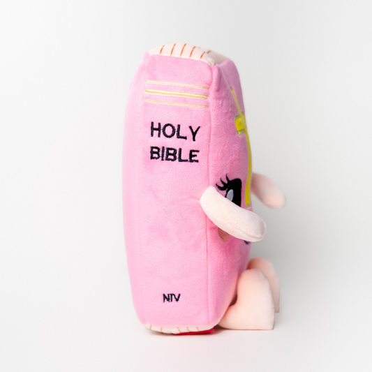Playful Pink Buddy